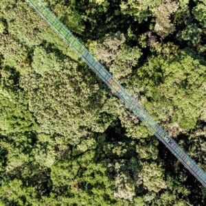 Treetop-Walkways-Selvatura-Park-2