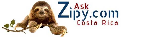 Ask Zipy