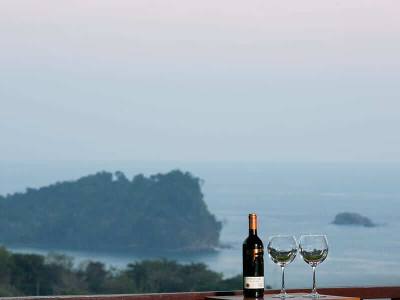 House rental with the best views of Manuel Antonio wine glass wine bottle