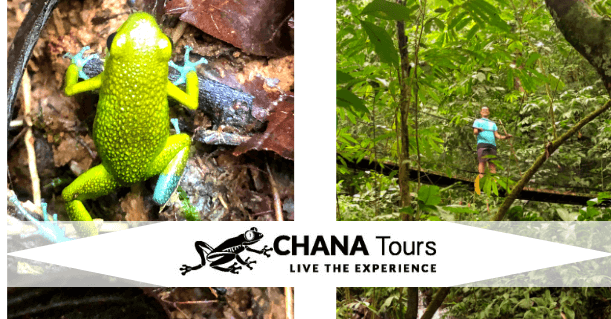 Live the Experience with Chana Tours