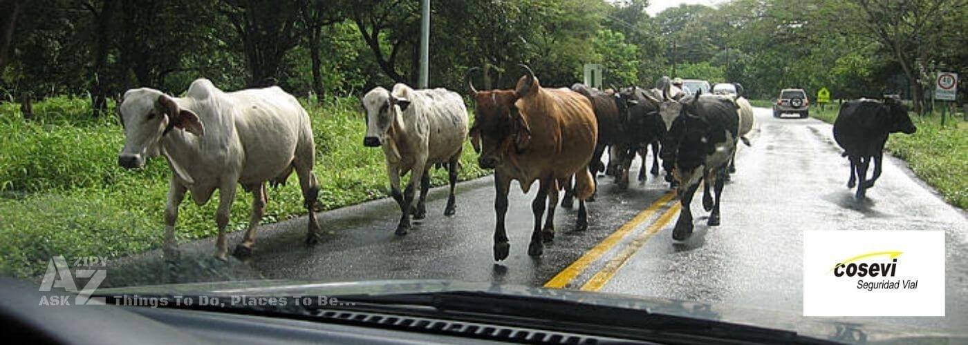 Driving in Costa Rica