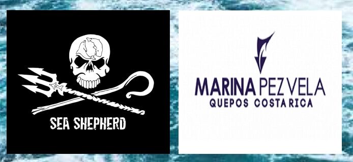 Tours of the Sea Shepherd Conservation Society's M/V Brigitte Bardot
