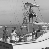 JP Sport Fishing Tours