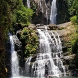 Javier's Waterfall & Kayak Tours
