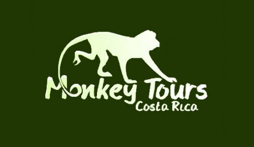 Costa Rica Monkey Tours