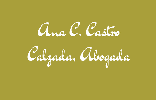 Ana C. Castro Calzada, Abogada