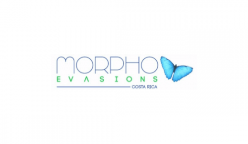 Morpho Costa Rica