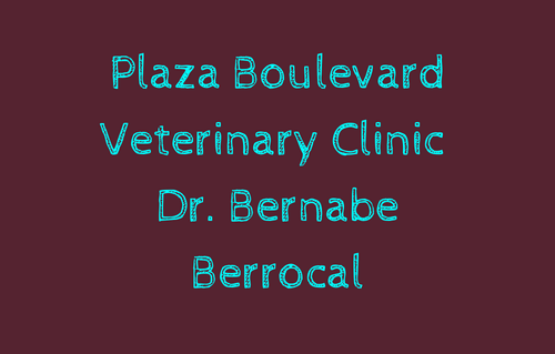 Plaza Boulevard Veterinary Cli