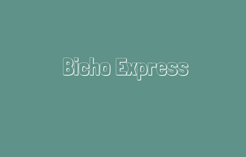 Bicho Express - Jaco