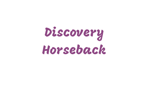 Discovery Horseback