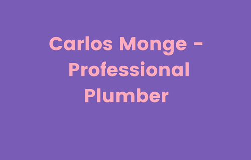 Carlos Monge -  Professional P