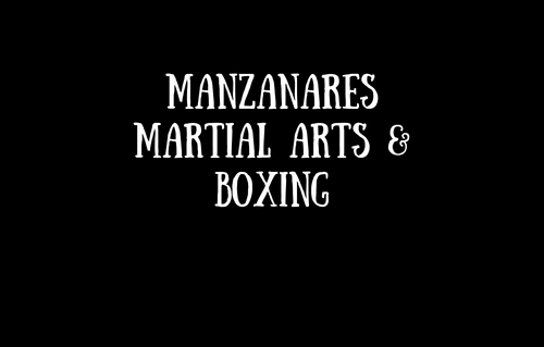 Manzanares Martial Arts & Boxi
