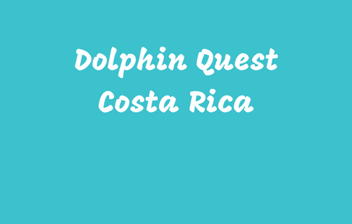 Dolphin Quest Costa Rica - Hea