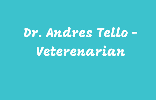 Dr. Andres Tello - V