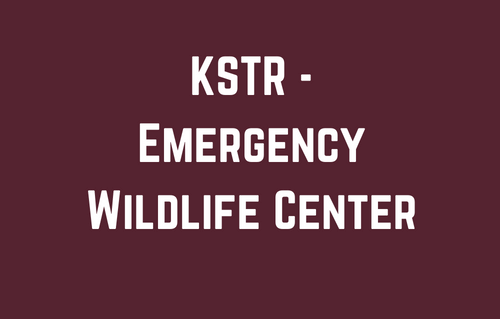 KSTR - Emergency Wildlife Center