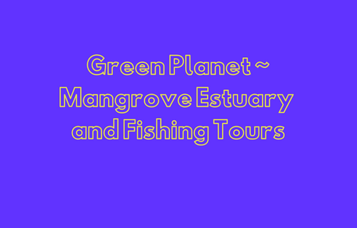 Green Planet ~ Mangrove Estuar