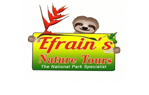 Efrain’s Nature Tours | Manuel Antonio