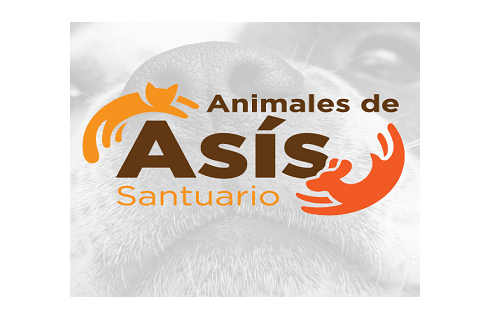 Asociación Animales de Asís CR