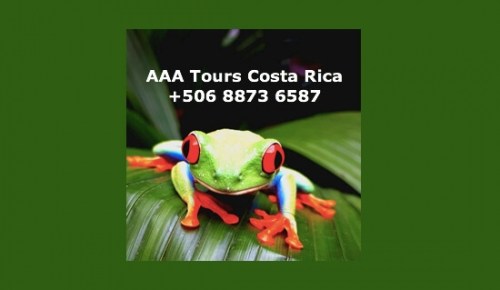 AAA Tour Costa Rica