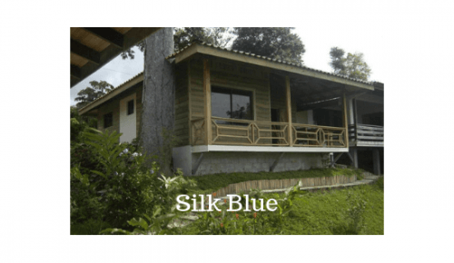 Silk Blue