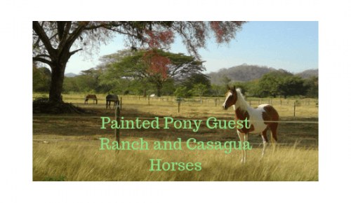 Painted Pony Guest Ranch and C