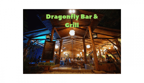 Dragonfly Bar & Grill