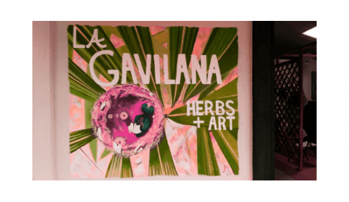 La Gavilana Herbs & Art