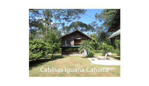 Cabinas Iguana Cahuita