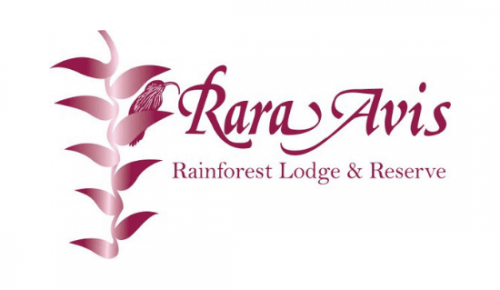 Rara Avis Rainforest Lodge
