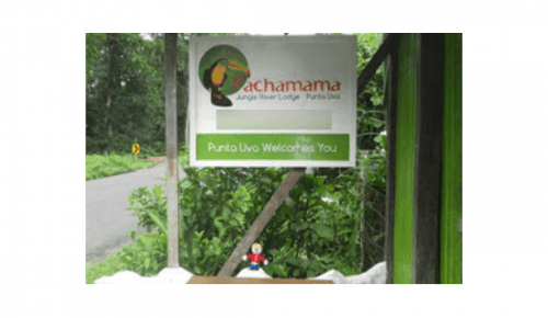 Pachamama Jungle River Lodge