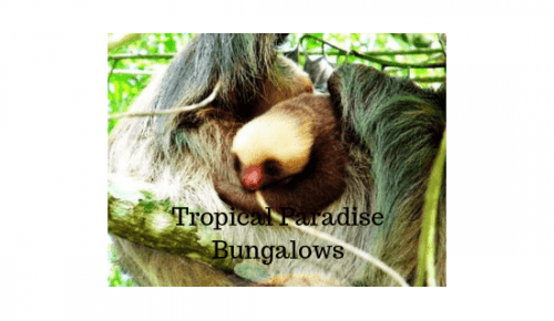 Tropical Paradise Bungalows