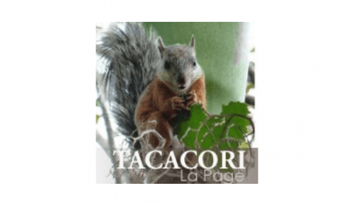 Tacacori Eco Lodge
