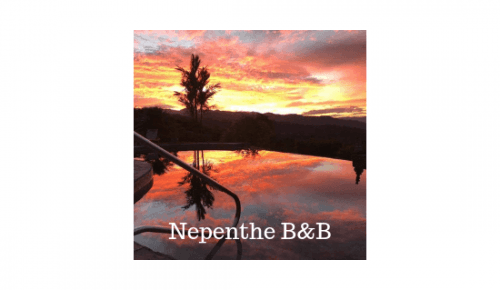 Nepenthe B&B