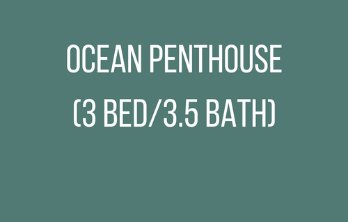 Ocean Penthouse (3 bed/3.5 bath)