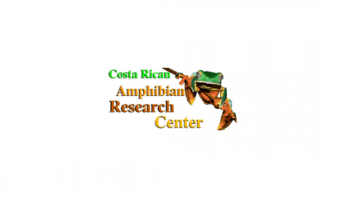 Costa Rican Amphibian Research