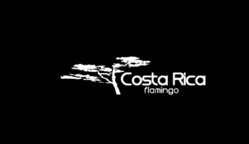 Flamingo Costa Rica