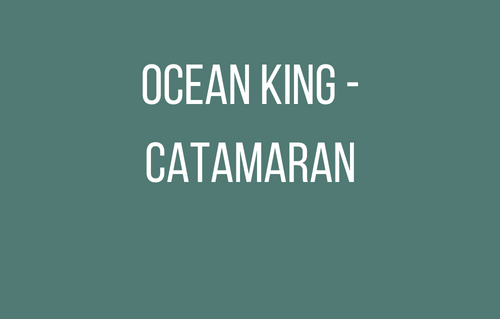 Ocean King - Catamaran
