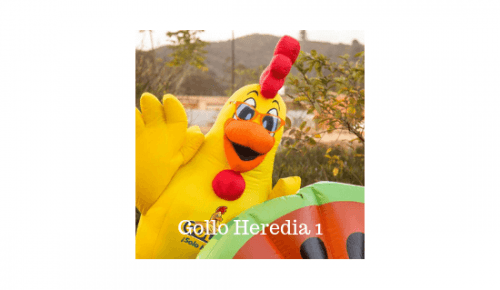 Gollo Heredia 1