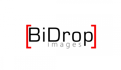 Bidrop Photography video in Co