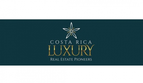 Luxury Real Estate Professiona