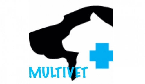 MultiVet RS