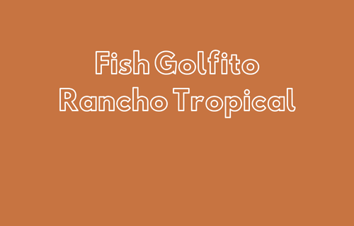 Fish Golfito Rancho Tropical -