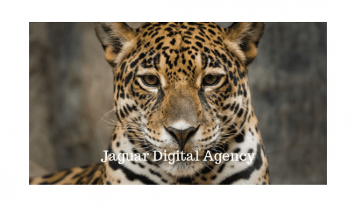 Jaguar Digital Agency