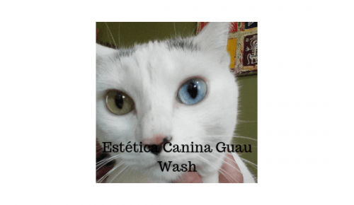 Estética Canina Guau Wash