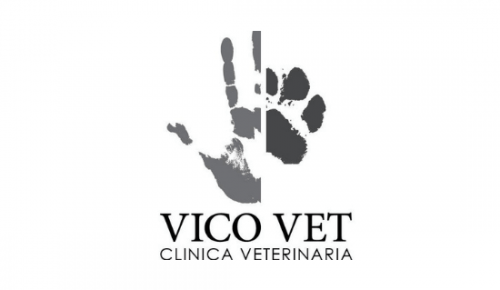Veterinary Clinic Vicovet