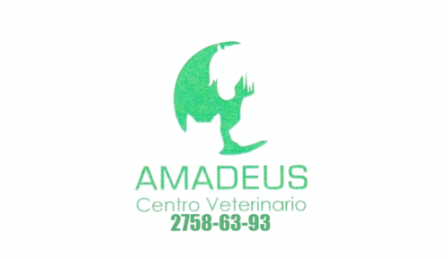 Centro Veterinario Amadeus