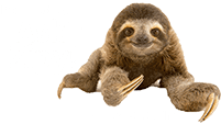 Powered by Ask Zipy